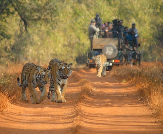 Madhya Pradesh